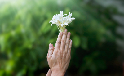 Практики прощения